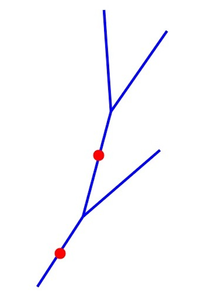 RAPID